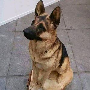 Meet your Posher, Todd